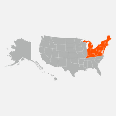 Sales Region Northeast